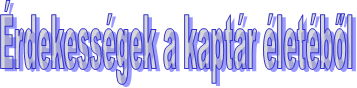 kaptar
